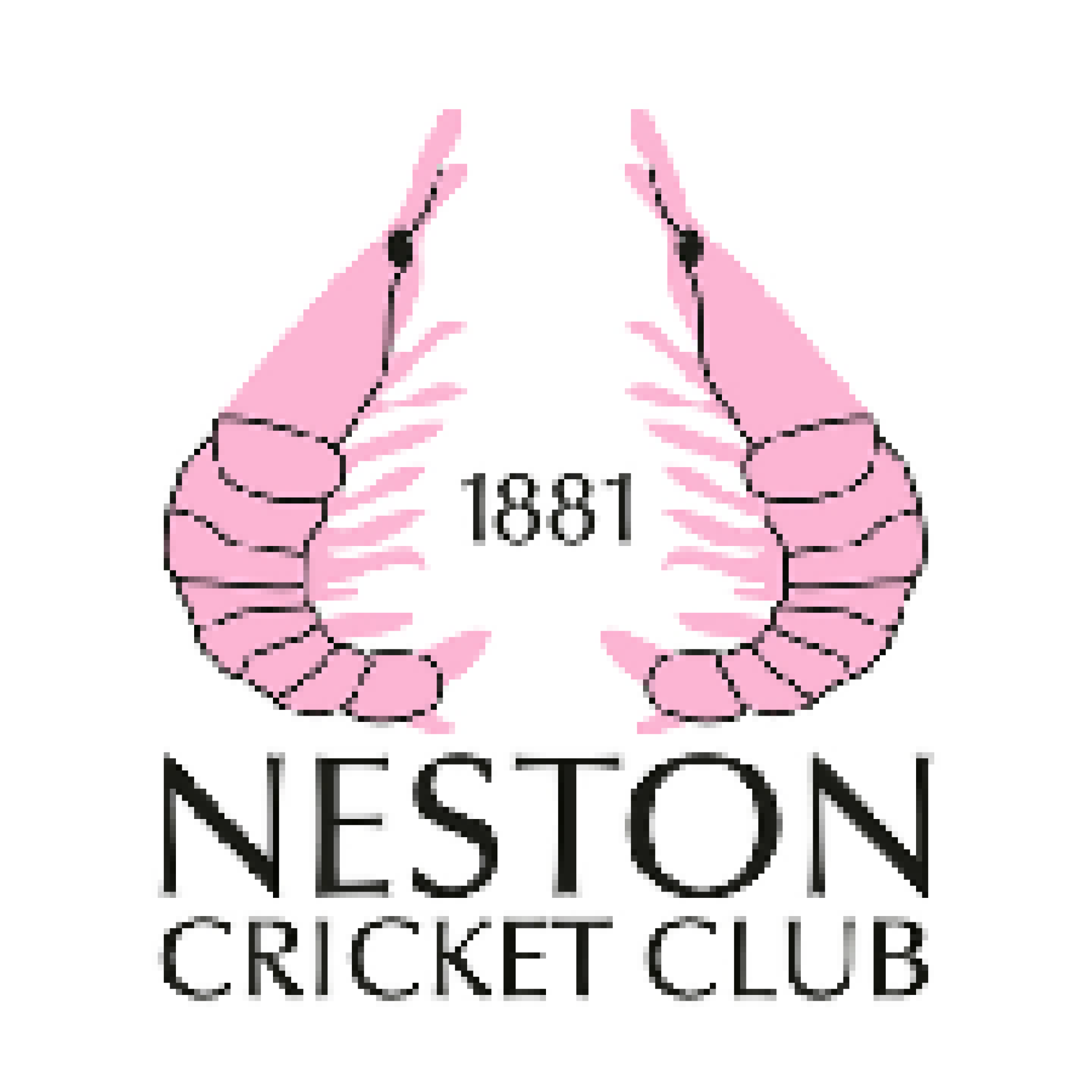 Neston Logo.png