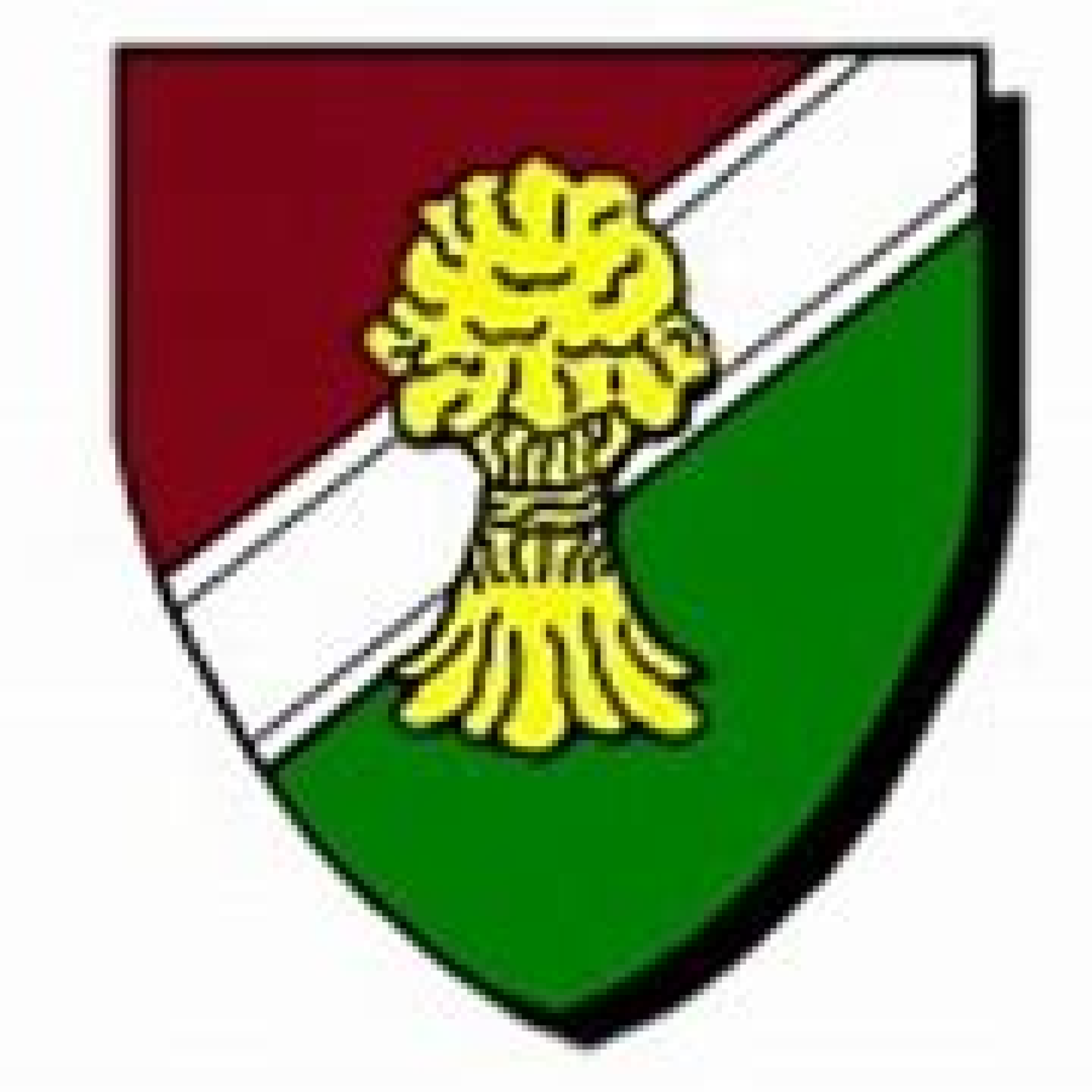Brooklands Logo.png