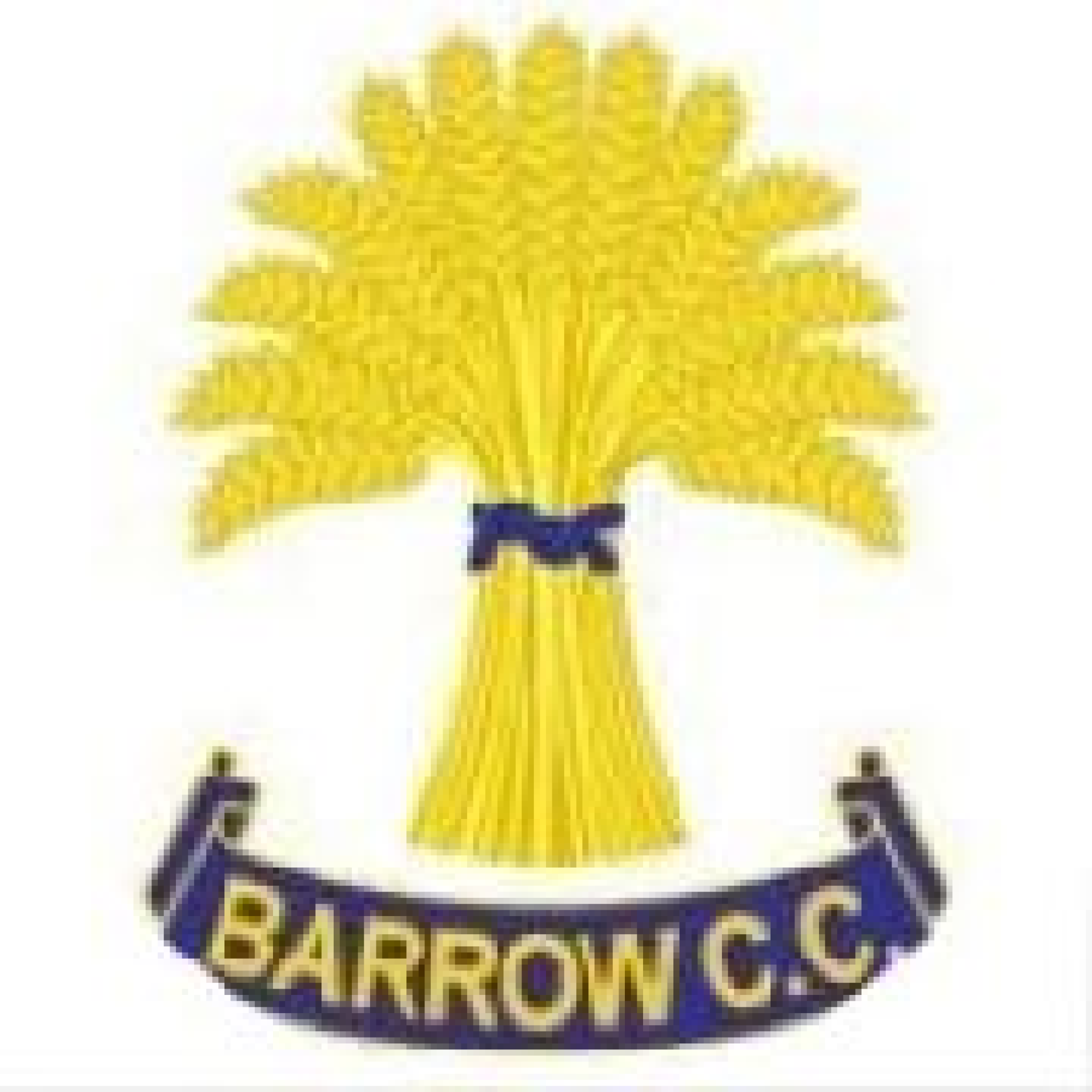 Barrow Logo.png