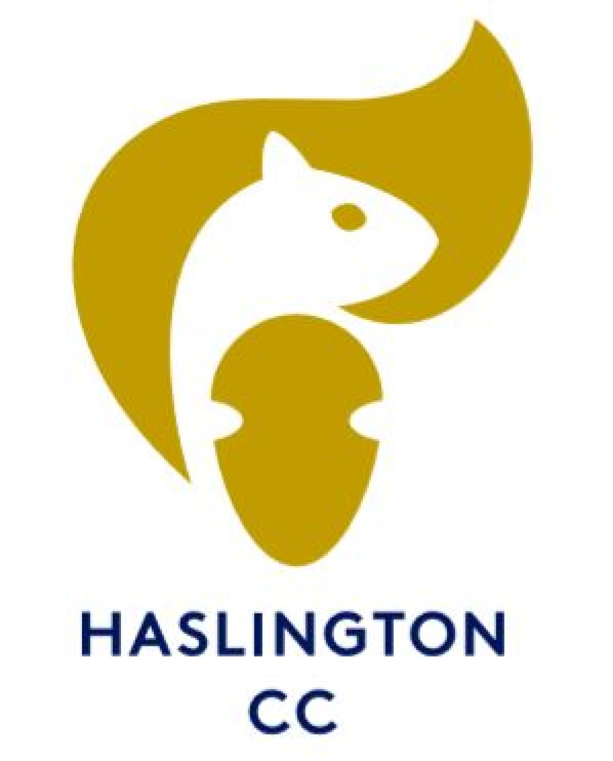 HCC Logo Gold- Blue.jpg