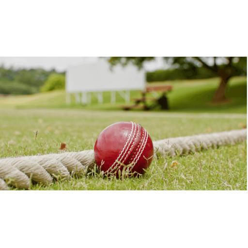 cricket-boundary-ropes-1.png
