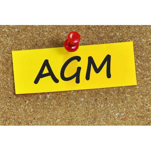 AGM-image.jpg