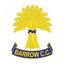 Barrow CC, Cheshire - 2nd XI